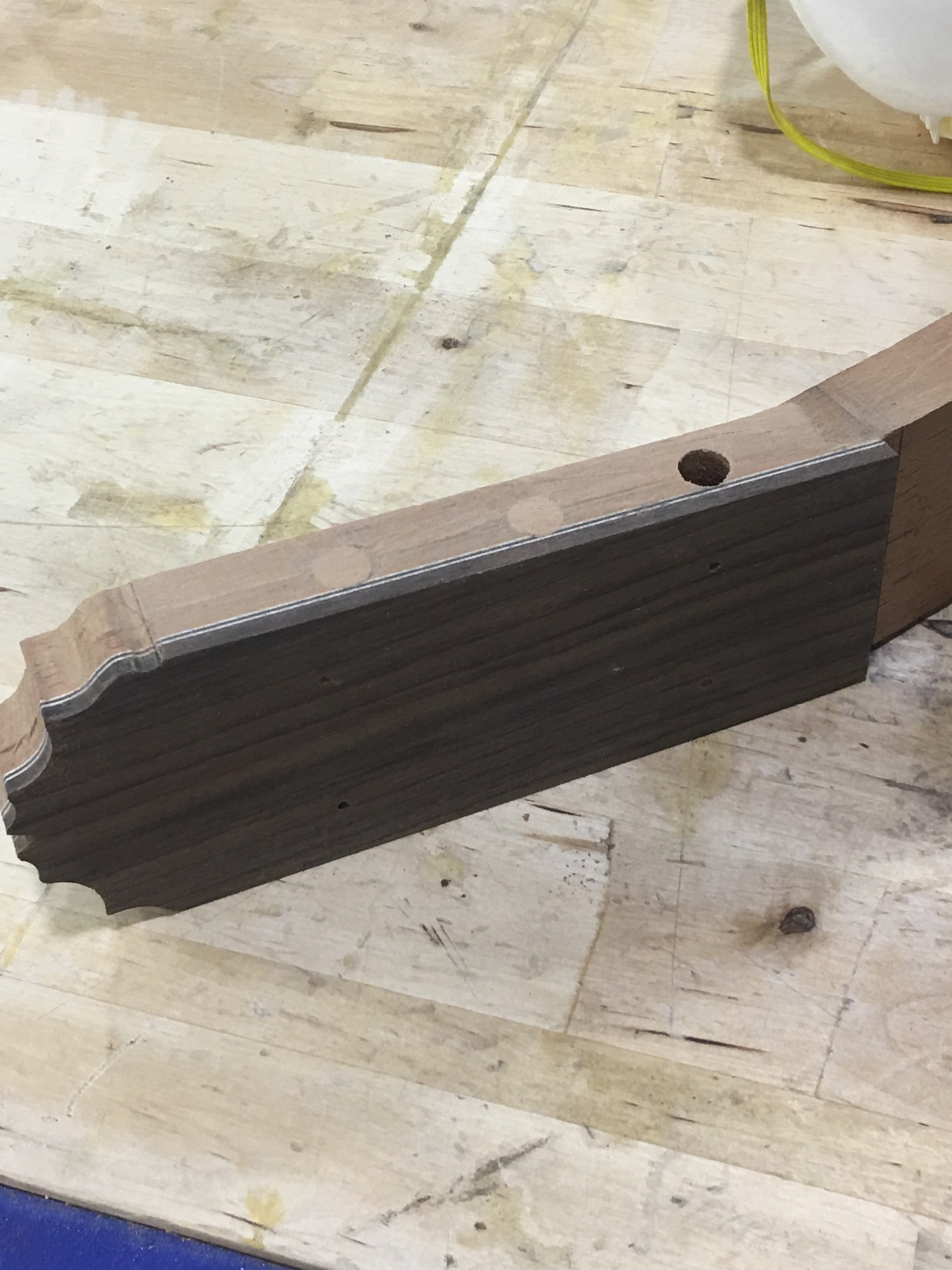 Plugging tuner holes